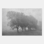  Antiek Blauwgroen textuur Landschapsontkoppeling Inpakpapier Vel (Voorkant 2)