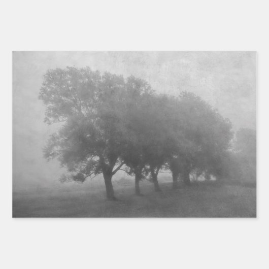 Antiek Blauwgroen textuur Landschapsontkoppeling Inpakpapier Vel (Voorkant 2)