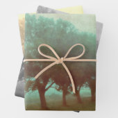 Antiek Blauwgroen textuur Landschapsontkoppeling Inpakpapier Vel (In situ)