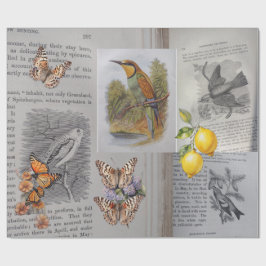 Antiek boeken, Vogels en Vlinders Cadeaupapier