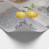 Antiek boeken, Vogels en Vlinders Cadeaupapier (Hoek)