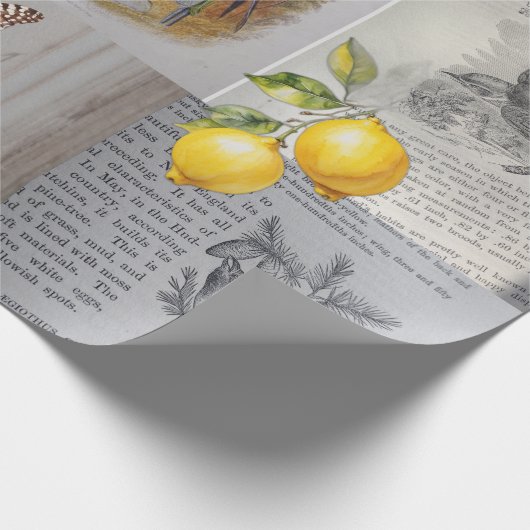 Antiek boeken, Vogels en Vlinders Cadeaupapier (Hoek)