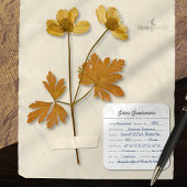 Antiek botanisch herbarium wit specimenlabel vierkante sticker