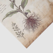 Antiek botanisch kruidendecoupage tissuepapier (Detail)