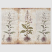 Antiek botanisch kruidendecoupage tissuepapier (Voorkant)