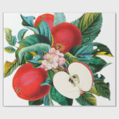 Antiek botanische appelfruitregeling, appelsap cadeaupapier (Vlak)