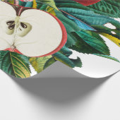 Antiek botanische appelfruitregeling, appelsap cadeaupapier (Hoek)