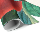 Antiek botanische appelfruitregeling, appelsap cadeaupapier (Rol Hoek)