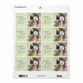 Antiek botanische print Magnolia Collage Etiket (Full Sheet)