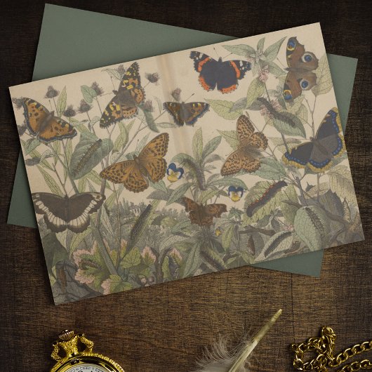 Antiek Botanische  Vlinder Decoupage Tissuepapier