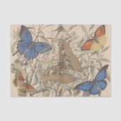 Antiek Botanische Vlindervlinder Decoupage Tissuepapier (Voorkant)