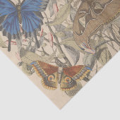 Antiek Botanische Vlindervlinder Decoupage Tissuepapier (Detail)