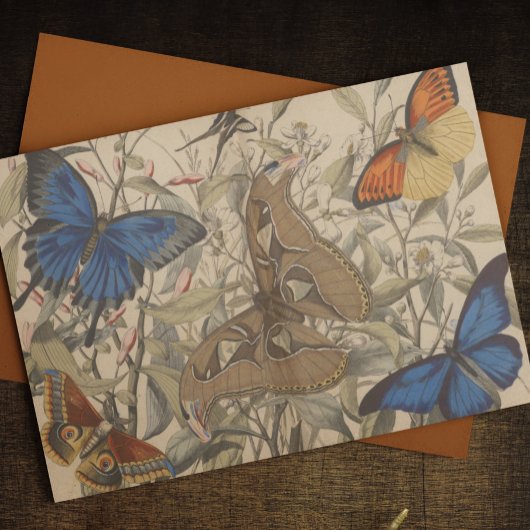 Antiek Botanische Vlindervlinder Decoupage Tissuepapier