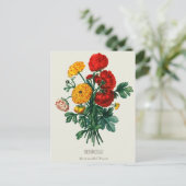 Antiek Bouquet, rode en gele Ranunculus Flowers Briefkaart (Staand voorkant)