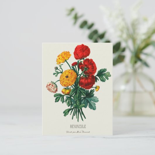 Antiek Bouquet, rode en gele Ranunculus Flowers Briefkaart (Staand voorkant)