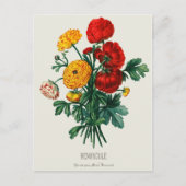 Antiek Bouquet, rode en gele Ranunculus Flowers Briefkaart (Voorkant)