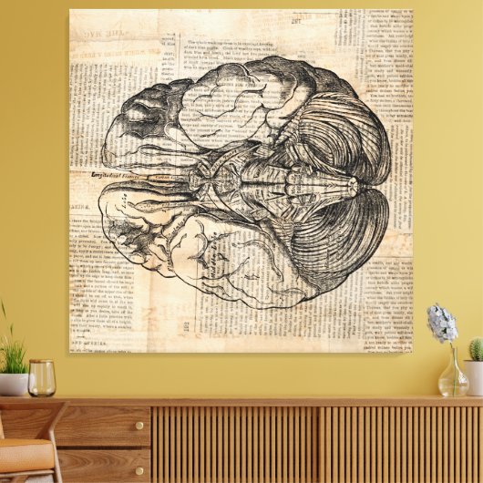 Antiek breindiagram Oude Fashioned Art Canvas Afdruk (Insitu (Woonkamer))