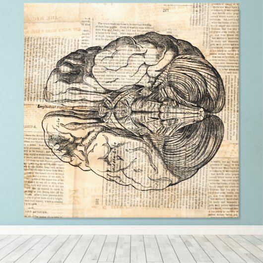 Antiek breindiagram Oude Fashioned Art Canvas Afdruk (Insitu (Houten vloer))