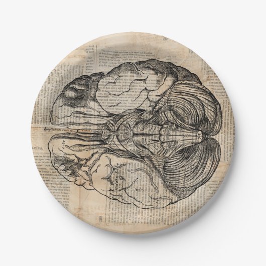 Antiek breindiagram Oude Fashioned Art Papieren Bordje (Voorkant)