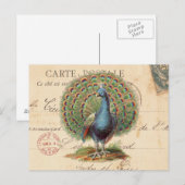  antiek briefkaart (Voorkant / Achterkant)