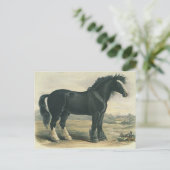 Antiek  Briefkaart met zwarte gordel (Staand voorkant)