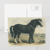 Antiek  Briefkaart met zwarte gordel (Voorkant / Achterkant)