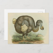 Antiek Briefkaart van Dodo Bird Natural History (Voorkant / Achterkant)