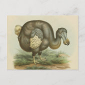 Antiek Briefkaart van Dodo Bird Natural History (Voorkant)