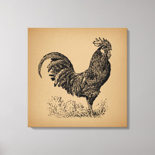Antiek bruine rooster, illustratie Chicken Art Canvas Afdruk