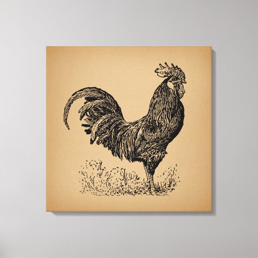 Antiek bruine rooster, illustratie Chicken Art Canvas Afdruk (Voorkant)
