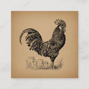 Antiek bruine rooster, illustratie Chicken Art Informatiekaartje