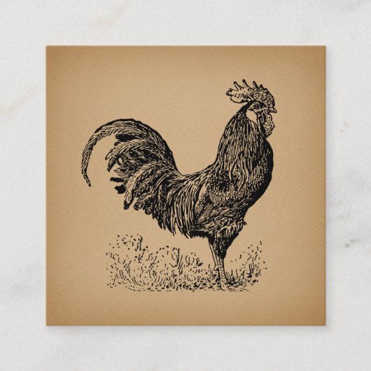 Antiek bruine rooster, illustratie Chicken Art Informatiekaartje (Voorkant)