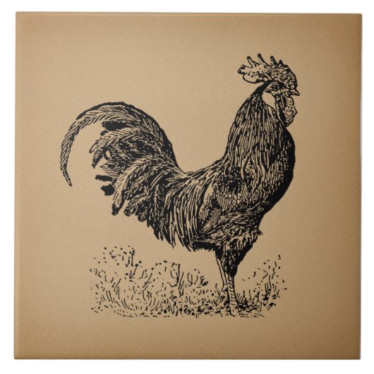 Antiek bruine rooster, illustratie Chicken Art Tegeltje (Voorkant)