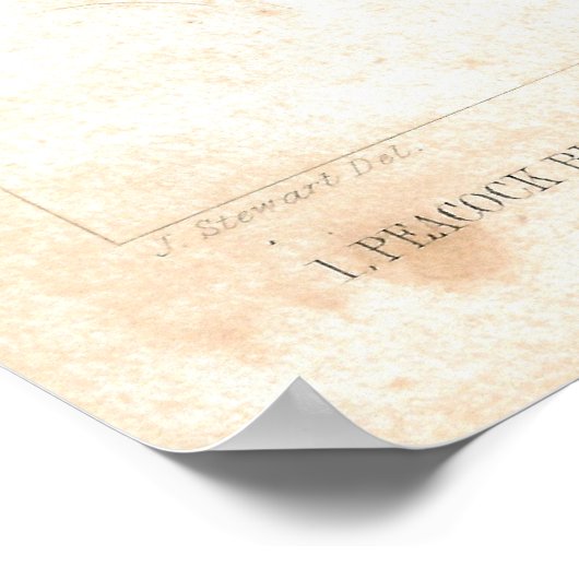 Antiek buisdruk poster (Hoek)