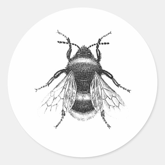 , Antiek Bumble Bee illustratie Ronde Sticker (Voorkant)
