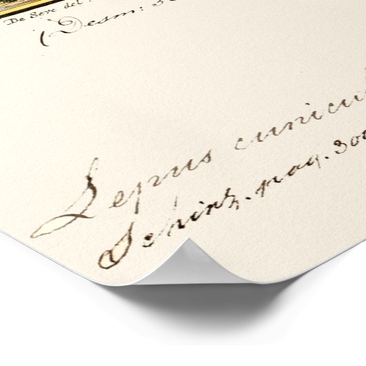 Antiek Bunny Rabbit Color Etching Poster (Hoek)