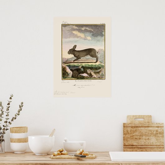 Antiek Bunny Rabbit Color Etching Poster (Keuken)