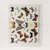 ANTIEK BUTTERFLES EN MOTH LITHOGRAPH LEGPUZZEL (Verticaal)