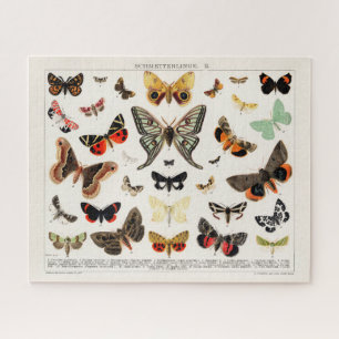  ANTIEK BUTTERFLES EN MOTH LITHOGRAPH LEGPUZZEL