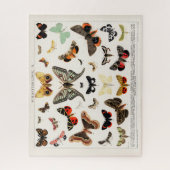 Antiek Butterflies en Moths Illustration Insects Legpuzzel (Verticaal)