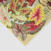 Antiek Caladiums en Rex Begonia Weefselpapier Tissuepapier (Detail)