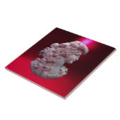 ANTIEK CAMEO, LADY MET DRUIVEN TEGELTJE (Zijkant)