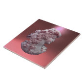 ANTIEK CAMEO, LADY MET DRUIVEN TEGELTJE (Zijkant)