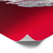 ANTIEK CAMEO, MOON LADY'S NACHT MET OWL POSTER (Hoek)