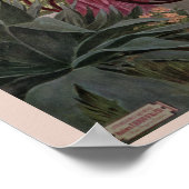 antiek Cannes Frans reisblad Poster (Hoek)