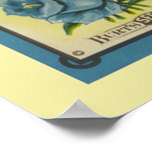 Antiek Canterbury Bells Poster (Hoek)