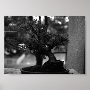 Antiek China Guilin miniatuur bonsai Pot Poster