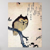 Antiek Chinees Owl Print Poster (Voorkant)