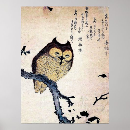 Antiek Chinees Owl Print Poster (Voorkant)