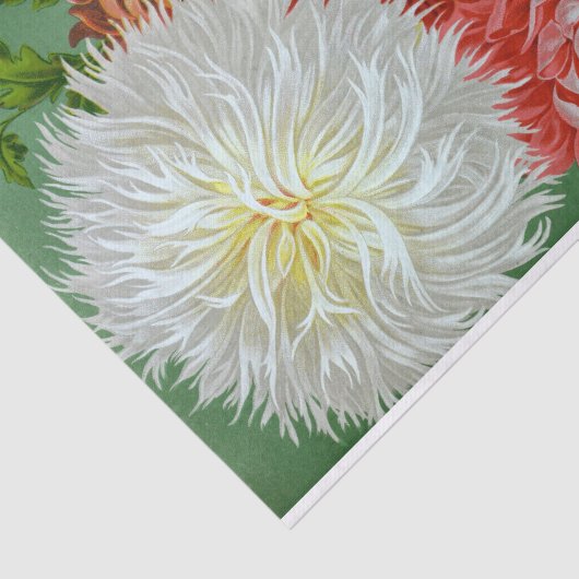 Antiek Chrysanthemum Giants Weefpapier Tissuepapier (Detail)